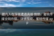 圈内人在深夜遭遇真相 愤怒，蜜桃传媒全网炸锅，详情围观，蜜桃传媒 app