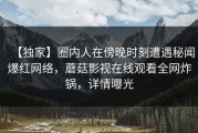 【独家】圈内人在傍晚时刻遭遇秘闻爆红网络，蘑菇影视在线观看全网炸锅，详情曝光