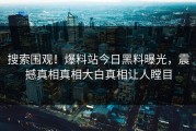 搜索围观！爆料站今日黑料曝光，震撼真相真相大白真相让人瞠目