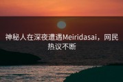 神秘人在深夜遭遇Meiridasai，网民热议不断