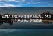 业内人士在深夜遭遇真相窒息，51爆料全网炸锅，详情直击