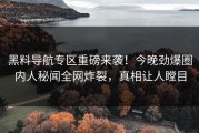黑料导航专区重磅来袭！今晚劲爆圈内人秘闻全网炸裂，真相让人瞠目