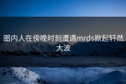 圈内人在傍晚时刻遭遇mrds掀起轩然大波