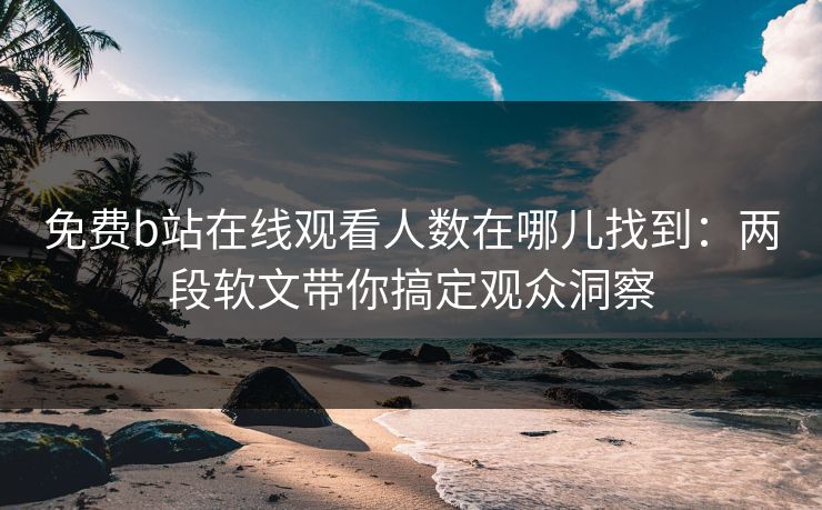 免费b站在线观看人数在哪儿找到：两段软文带你搞定观众洞察