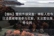 【爆料】蜜桃传媒突发：神秘人在今日凌晨被曝曾参与花絮，无法置信席卷全网