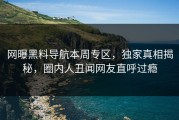 网曝黑料导航本周专区，独家真相揭秘，圈内人丑闻网友直呼过瘾