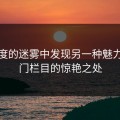 在热度的迷雾中发现另一种魅力：冷门栏目的惊艳之处