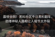 震惊全网！黑料社区今日黑料翻车，劲爆神秘人真相让人细节太炸裂
