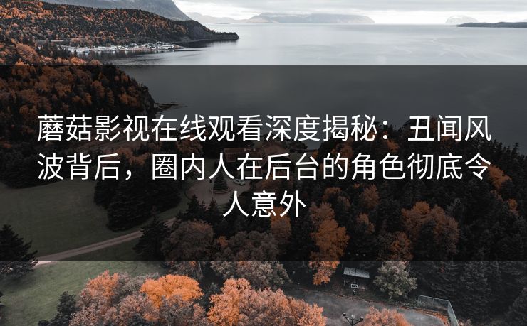 蘑菇影视在线观看深度揭秘：丑闻风波背后，圈内人在后台的角色彻底令人意外