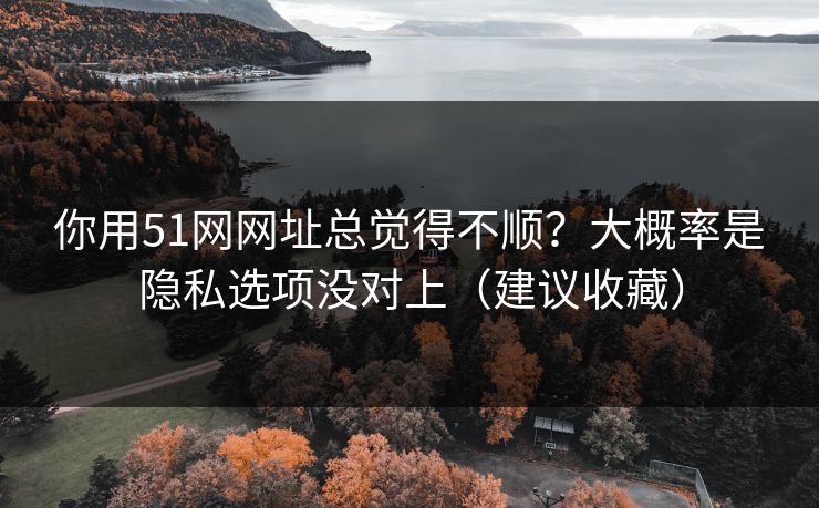 你用51网网址总觉得不顺?大概率是隐私选项没对上(建议收藏) 你用51网网址总觉得不顺?大概率是隐私选项没对上(建议收藏)